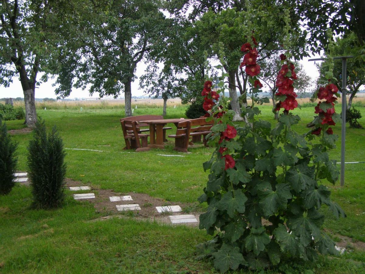 Villa Ranczo u Stefana Ustronie Morskie Esterno foto